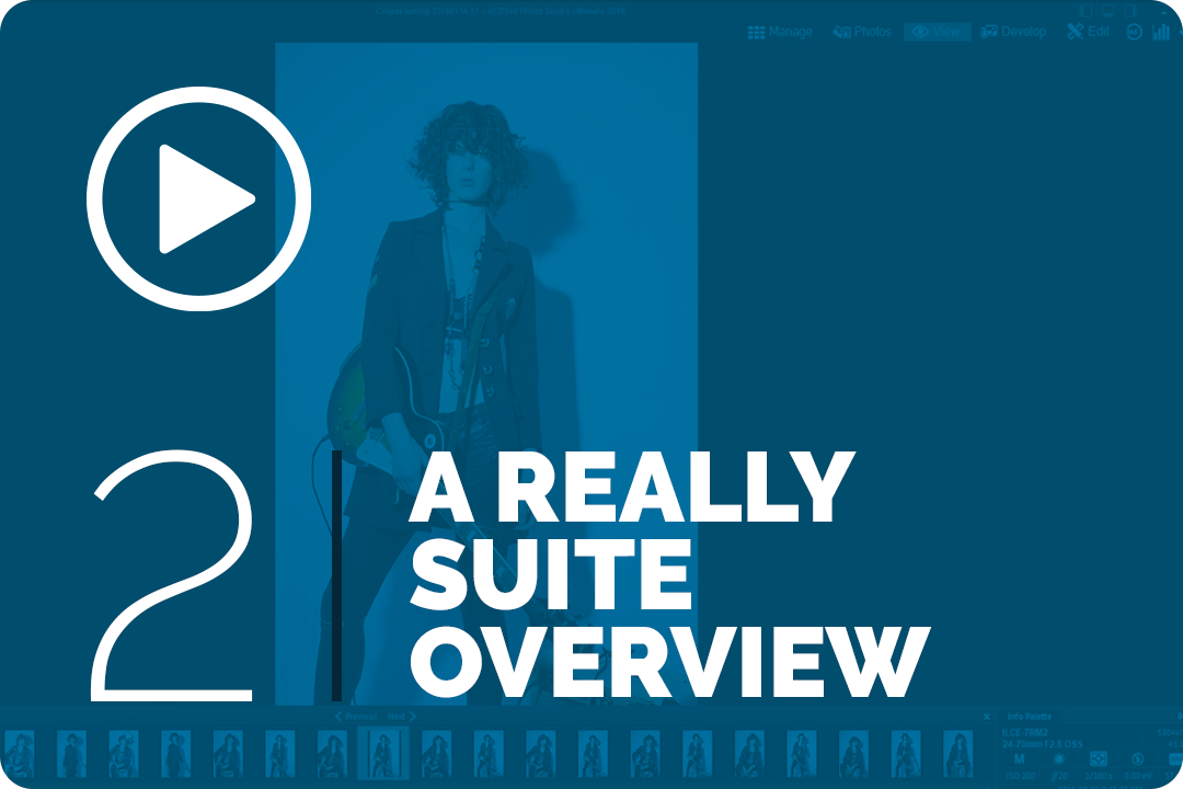 A really suite overview