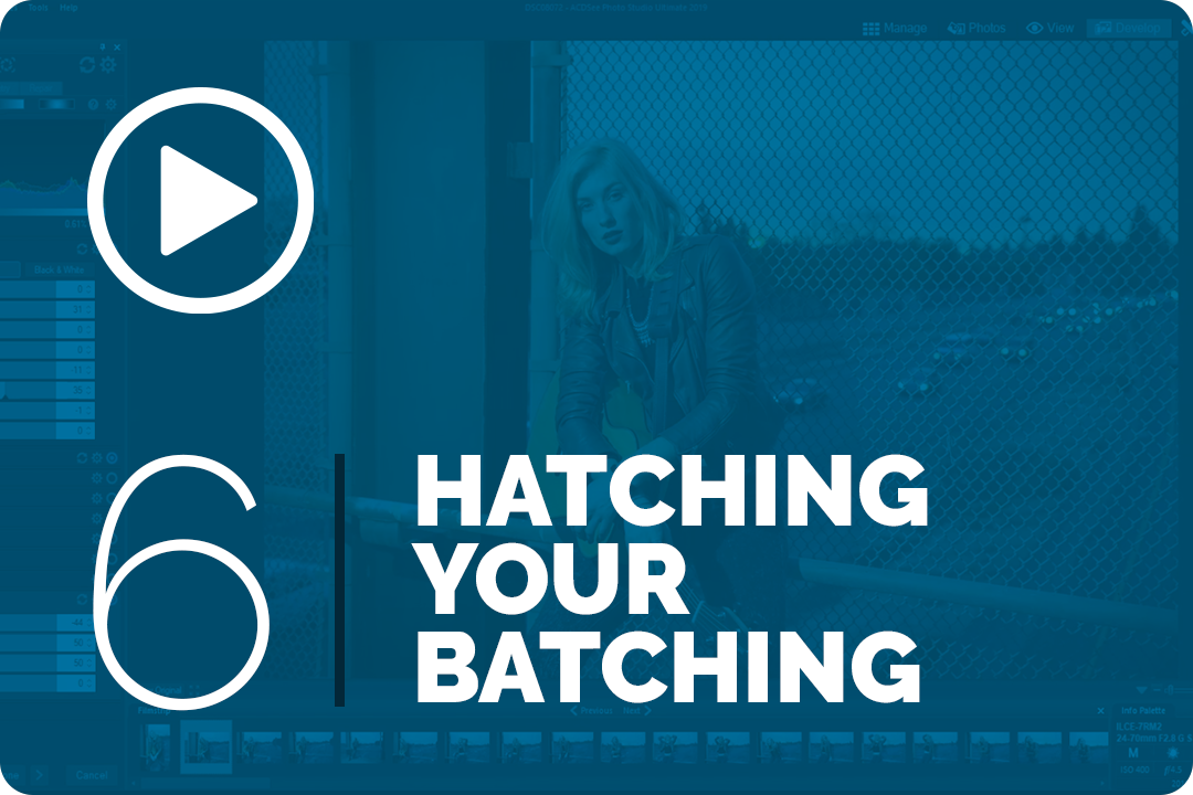 Hatching your batching